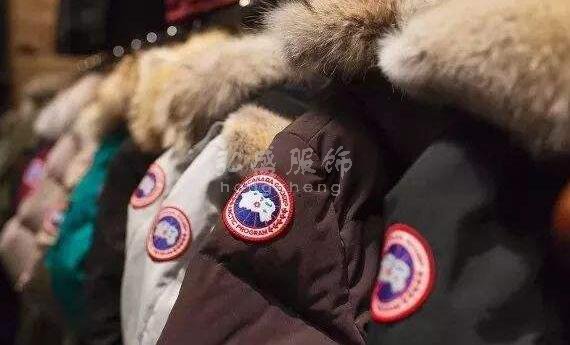 Canada Goose